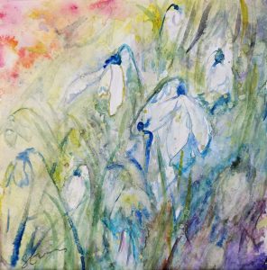 Abingdon Artists: Sally Mears - Rainbow Snowdrops - Pencil & Watercolour 26 x 26cm £40.