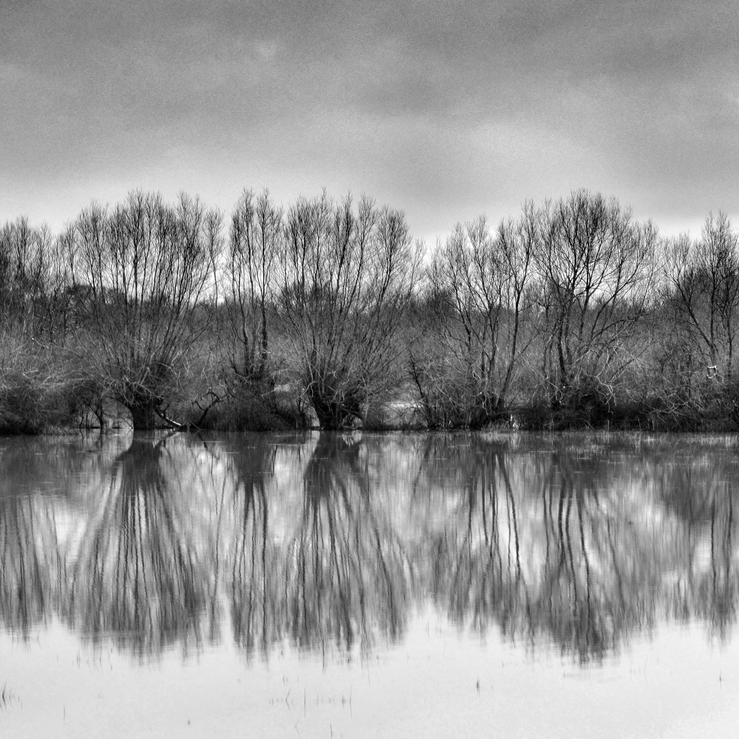 Oxford Photographers: Photograph © Jane Kennett